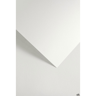 Karton ozdobny SAWANNA biały (20) 200g/m2 204801 ARGO