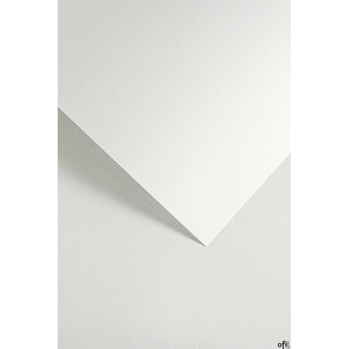 Karton ozdobny SAWANNA biały (20) 200g/m2 204801 ARGO