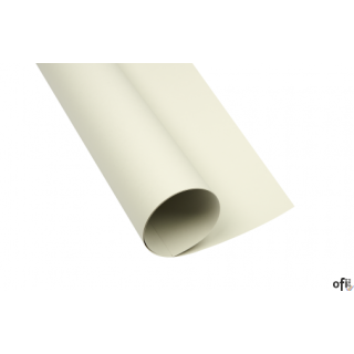 Karton kolorowy Creatinio A1 160g 25ark nr.93 jasnoszary 400149522 TOP-2000