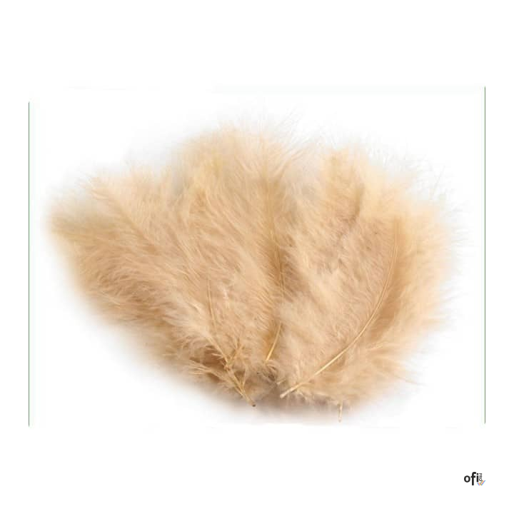 Piórka Beżowe (P-077) 10-12cm op 50szt ALIGA