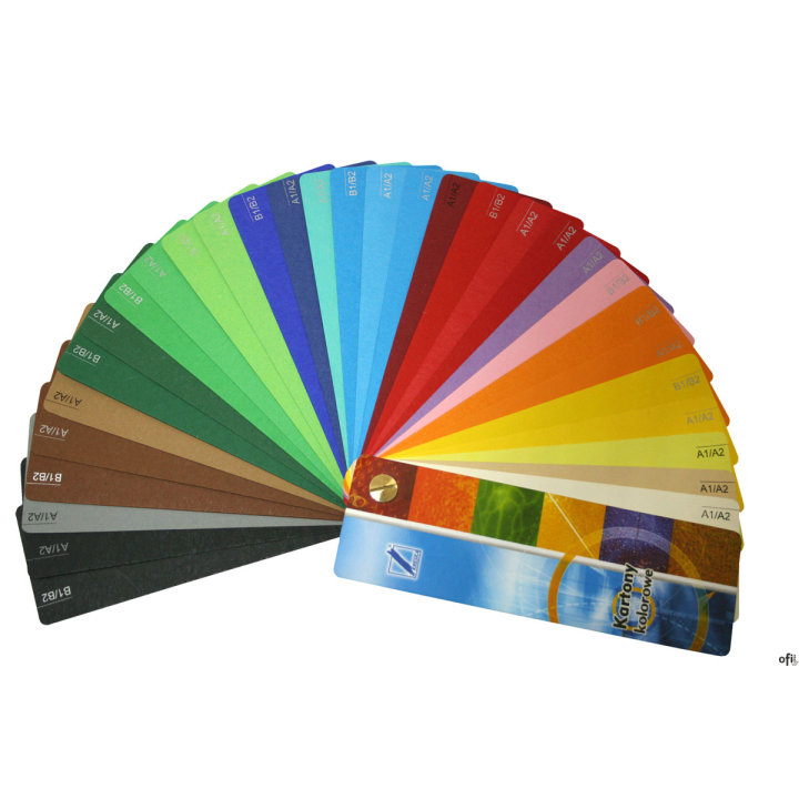 Brystol B1 j.brązowy(20) KRESKA 270g (X) (X)