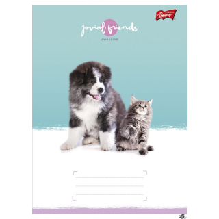 Zeszyt A5 32k linia dwukolo.L mix dziewczęcy laminowany      UNIPAP *6991