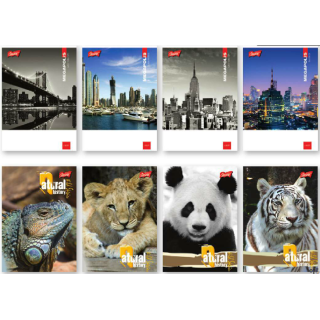 Zeszyt A5 60k laminowany gładki UNIPAP