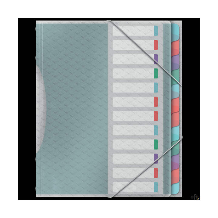 Teczka segregująca Esselte ColourBreeze, z 12 przekładkami 626256