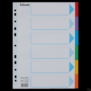 Przekładki karton A4 6 kart ESSELTE 100192 kolorowe z kartą opisową