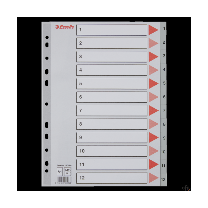 Przekładki plastikowe szare PP A4 1-12 100106 numeryczne ESSELTE