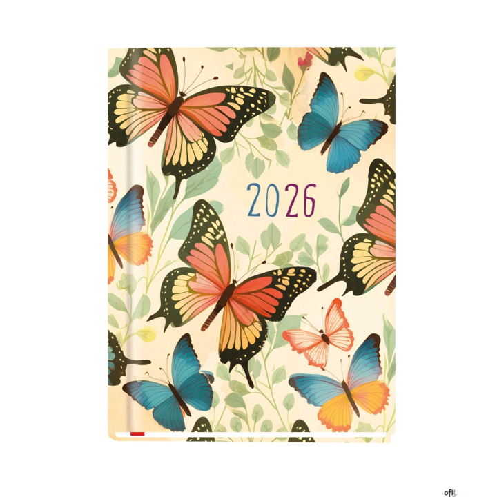 Terminarz OLA A6 2026 Michalczyk i Prokop T-212F-08 KALENDARZ tydzień na 2 stronach