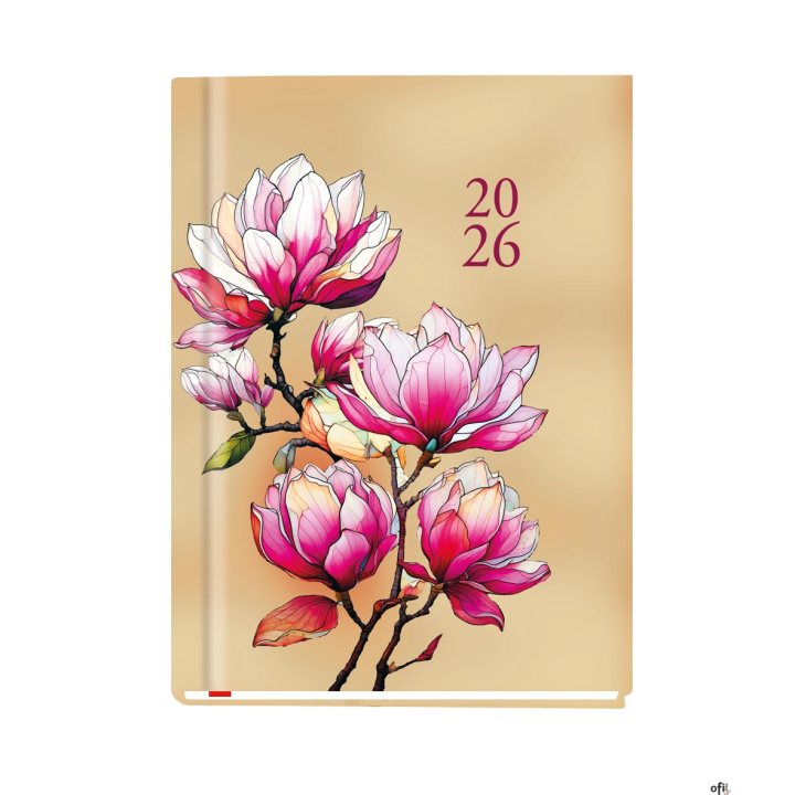 Terminarz OLA A6 2026 Michalczyk i Prokop T-212F-01 KALENDARZ tydzień na 2 stronach