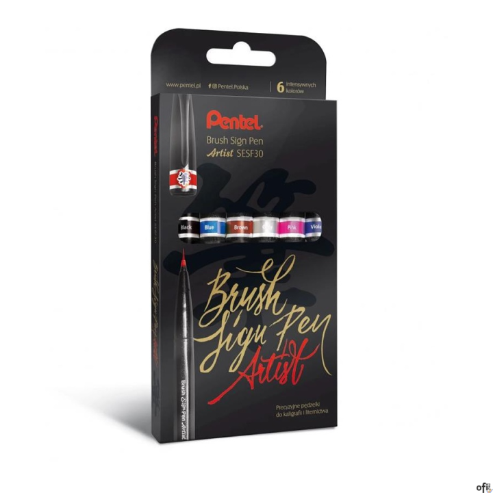 Zestaw precyzyjnych pędzelków do kaligrafii i liternictwa  SESF30C-ST6ACENPVPL PENTEL