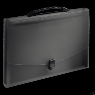 Teczka z przegródkami i rączką czarna ESSELTE VIVIDA 624024