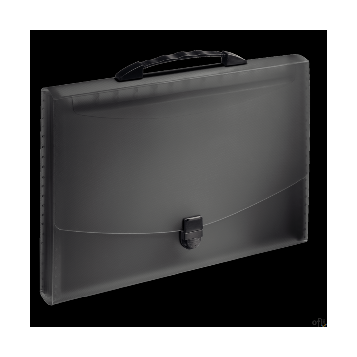 Teczka z przegródkami i rączką czarna ESSELTE VIVIDA 624024