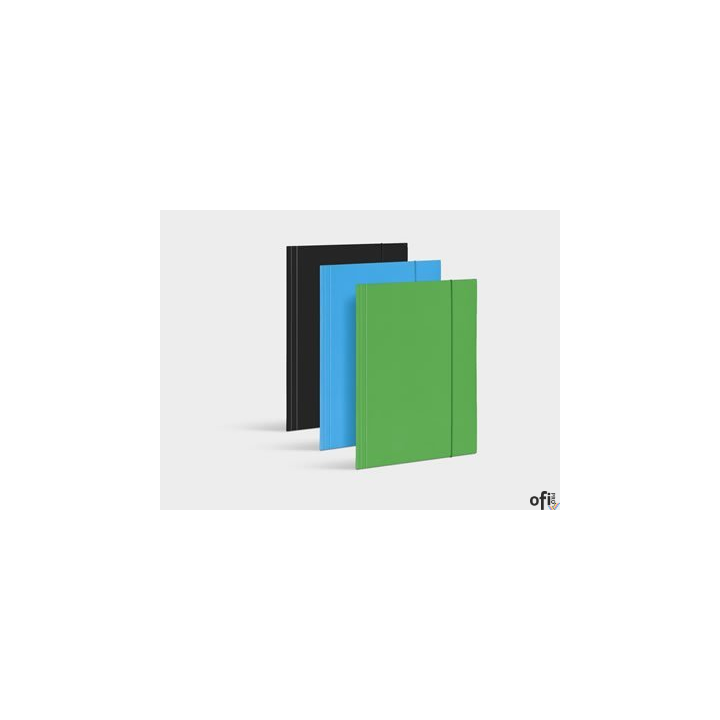 Teczka z gumką Economy (ECO) zielona VAUPE, 319/06