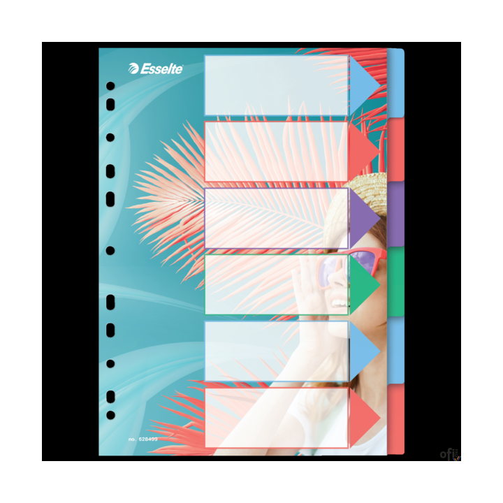 Przekładki ColourBreeze PP A4, 6 przekładek Esselte 628499