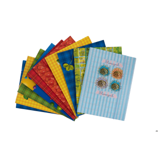 Teczka szkolna z gumką A5 (10 sztuk) KRESKA