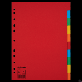Przekładki karton A4 10 kart ESSELTE 100201 kolorowe bez karty opisowej