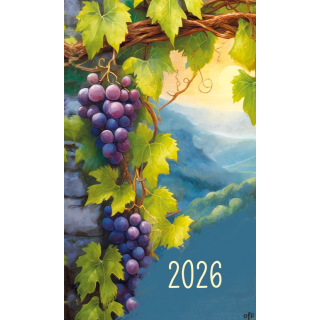 Terminarz Mini 87x145mm 2026 Michalczyk i Prokop T-MINI-08 KALENDARZ