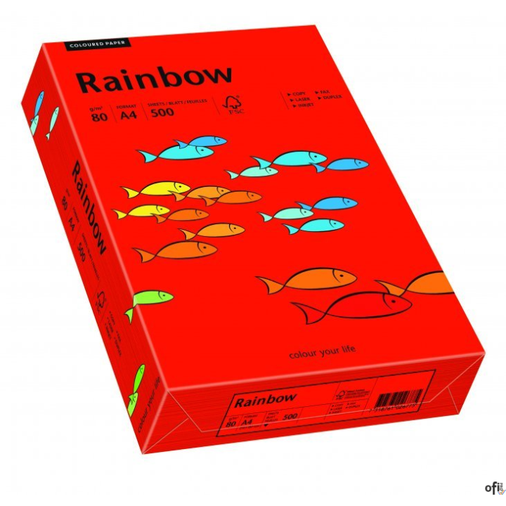 Papier xero kolorowy RAINBOW 80gr. ciemnoczerwony R28 88042475