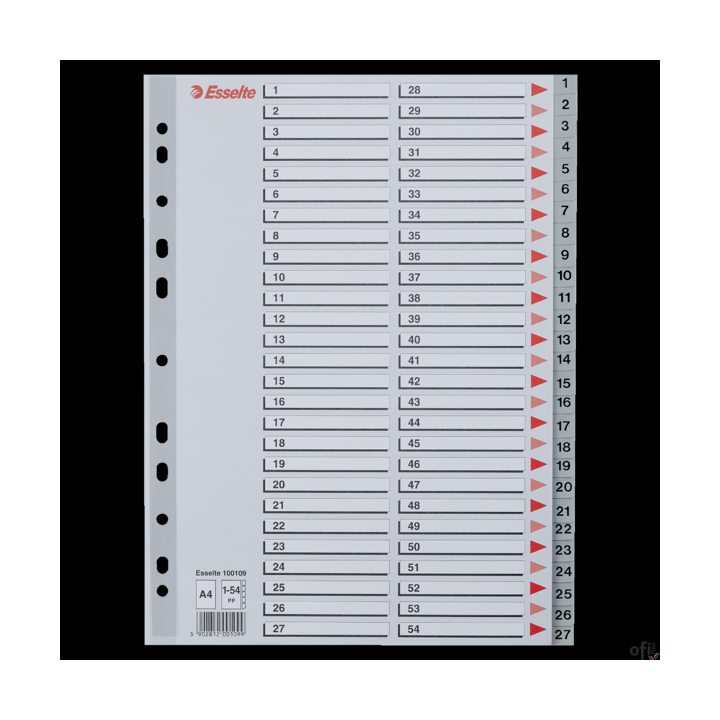 Przekładki plastikowe numeryczne A4 1-54 szare ESSELTE 100109