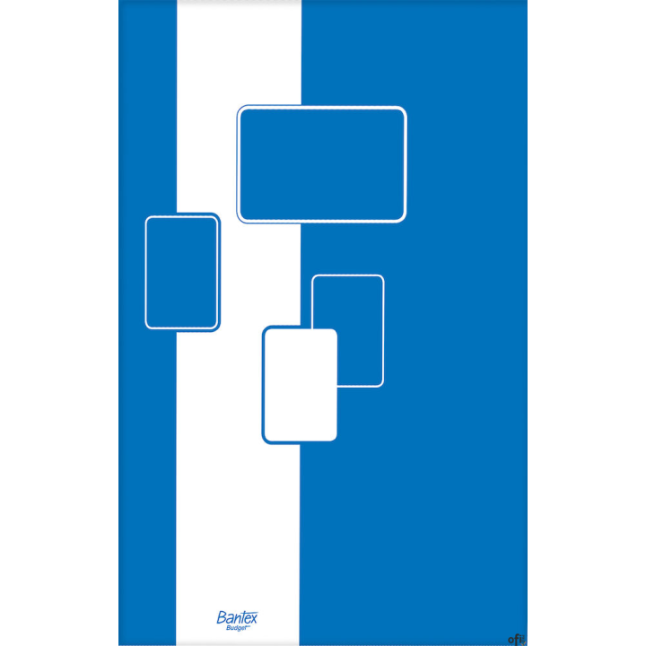 Blok notatnikowy BANTEX BUDGET A5 50 kartek 400116559