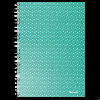 Kołonotatnik ColourBreeze A5, w kratkę, zielony Esselte 628467