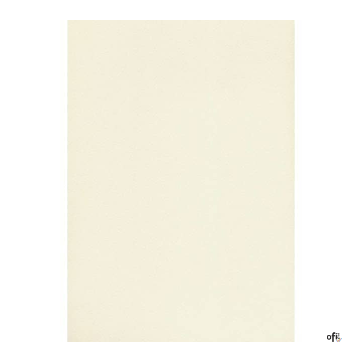 Karton wizytówkowy A4 W20 tłoczony ecrui  (20 arkuszy) 246g KRESKA  910