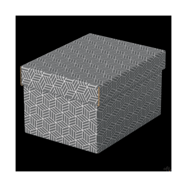 Pudełka domowe do przechowywania, rozmiar S, 3 sztuki, szare Esselte 628281