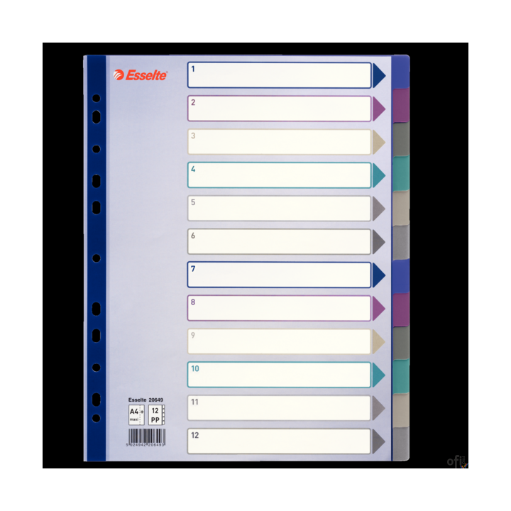 Przekładki plastikowe Multicolor PP, A4 Maxi - 12 kart Esselte, 20649