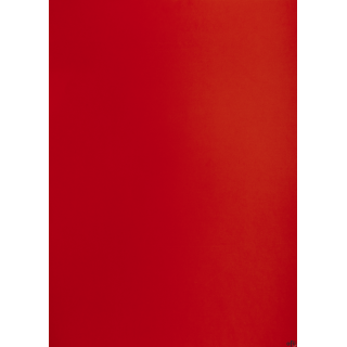 Karton kolorowy Oxford B2 225g 25ark nr.29 c.czerwony 400150333 TOP-2000