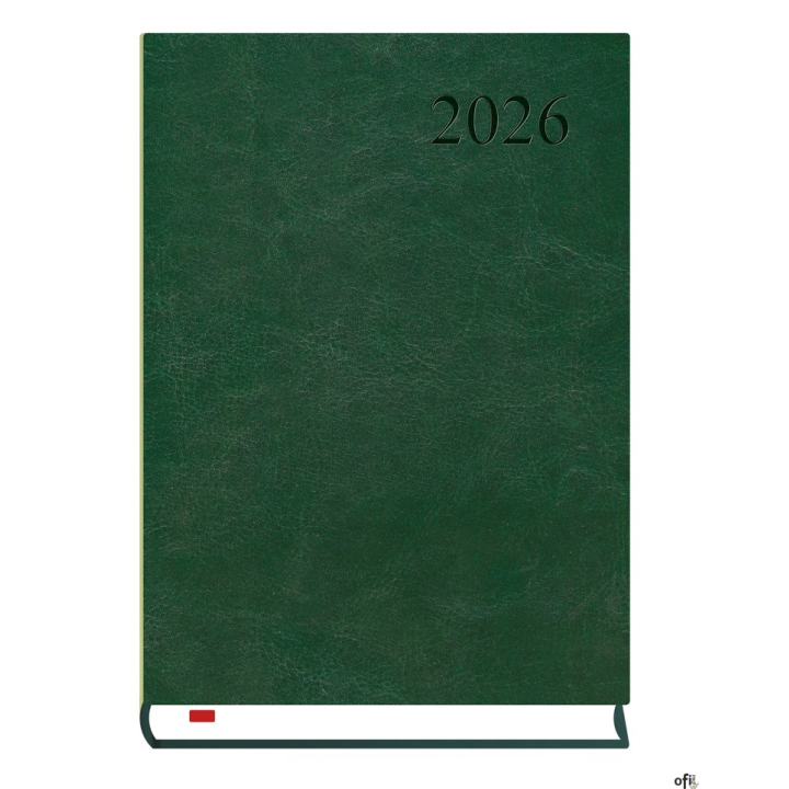 Kalendarz Asystent ALASKA A5 2026 - c.zieleń Michalczyk i Prokop T-237A-Z2