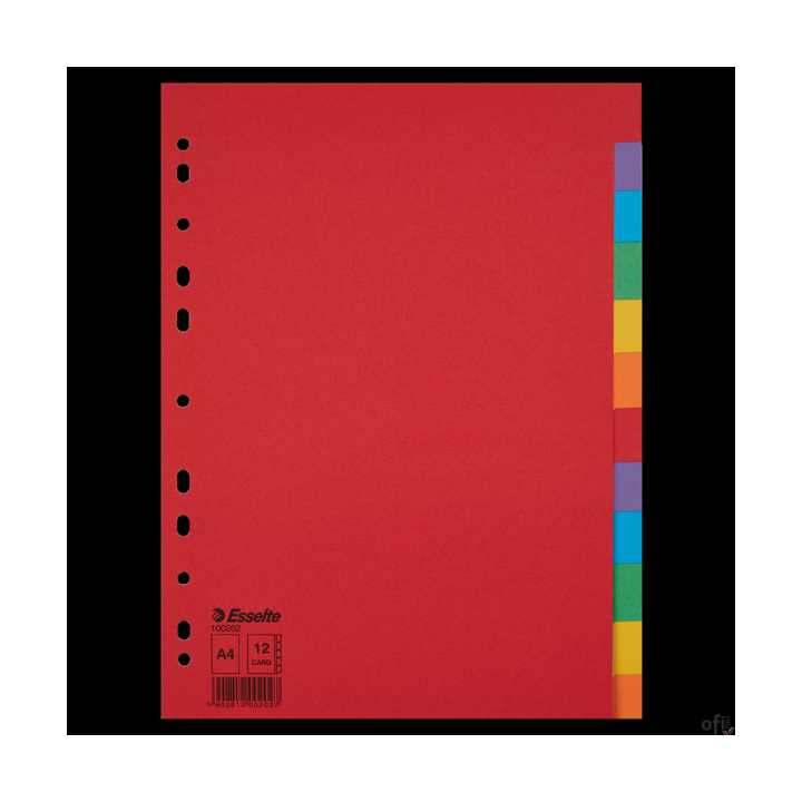 Przekładki karton A4 12 kart ESSELTE 100202 kolorowe bez karty opisowej