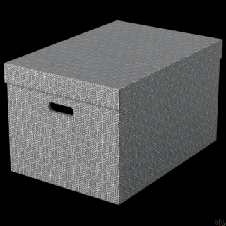 Pudełka domowe do przechowywania, rozmiar L, 3 sztuki, szare Esselte 628287