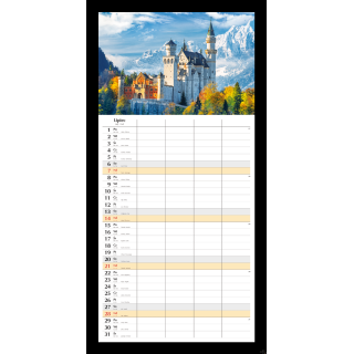 Planer miesięczny 2024 Michalczyk i Prokop T-108S-1 kalendarz ścienny