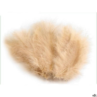 Piórka Beżowe (P-077) 10-12cm op 50szt ALIGA