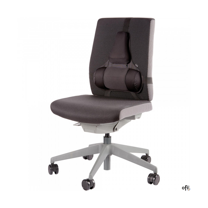 Podpórka pod plecy profesjonalna - Professional Series 8041801 FELLOWES