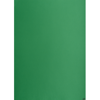 Karton kolorowy Oxford B2 225g 25ark nr.63 c.zielony 400150339 TOP-2000