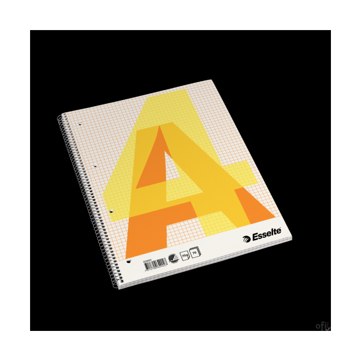 Zeszyt biurowy, A4, w kratkę, spirala z boku Esselte, 62902