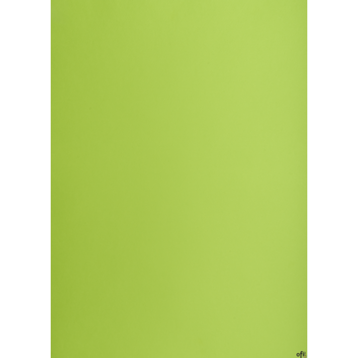 Karton kolorowy Oxford B2 225g 25ark nr.66 j.zielony 400150337 TOP-2000