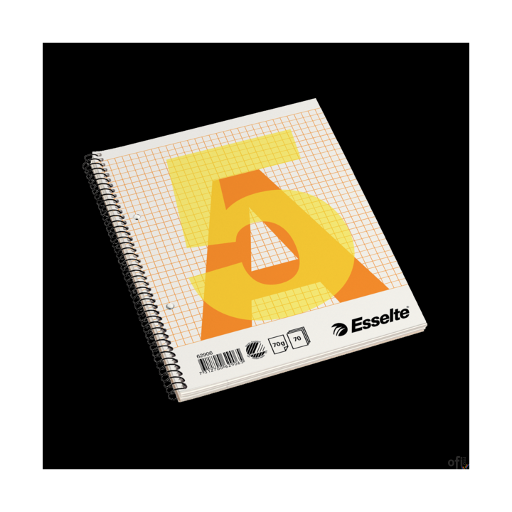 Zeszyt biurowy, A5, w kratkę, spirala z boku Esselte, 62906