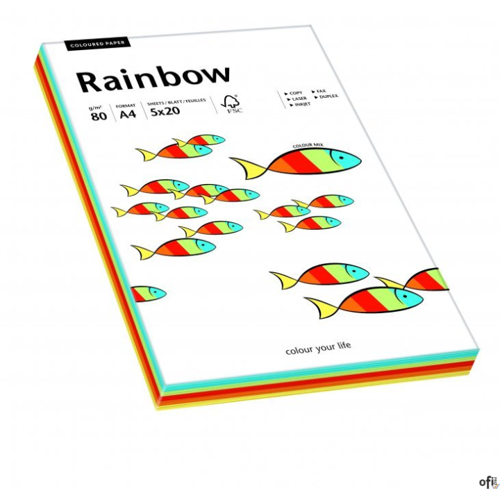 Papier xero kolorowy RAINBOW mix Intensywny 100 ark. 88043188