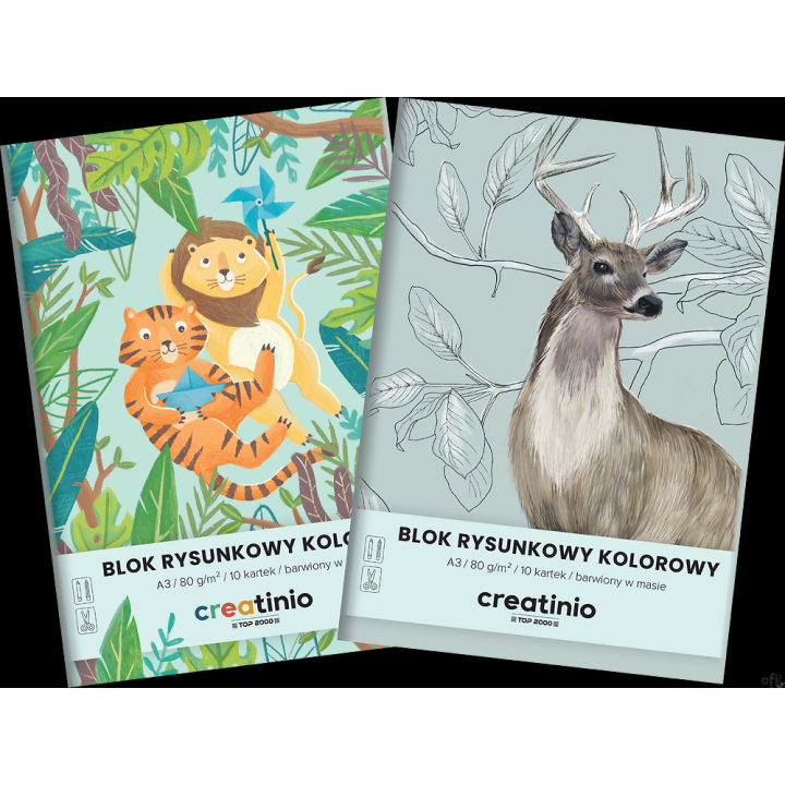 Blok rysunkowy Top 2000 Creatinio A3 10 kartek 80 g kolor 400176666