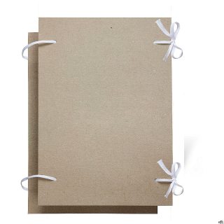 Fastykuła Protos A4 2895