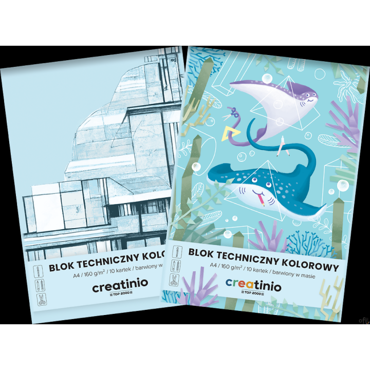 Blok techniczny Top 2000 Creatinio A4 10 kartek 160 g kolor 400176669