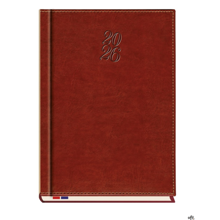 Terminarz Asesor B5 2026 Michalczyk i Prokop T-249N-58 kalendarz tygodniowy