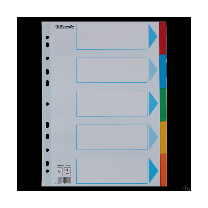Przekładki karton A4 5 kart ESSELTE 100191 kolorowe z kartą opisową