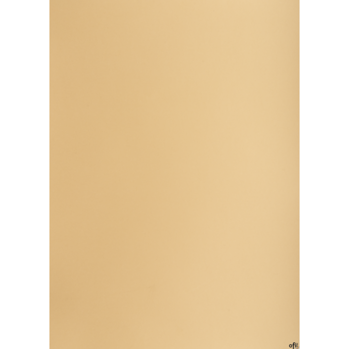 Karton kolorowy Creatinio B2 225g 25ark nr.16 jasnobrązowy 400150327 TOP-2000