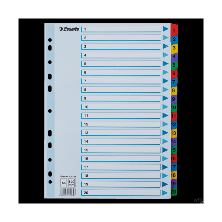 Przekładki kartonowe MYLAR A4 1-20 100163 białe ESSELTE
