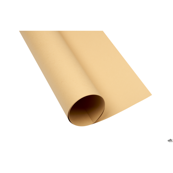 Karton kolorowy Creatinio A2 160g 25ark nr.16 jasnobrązowy 400150173 TOP-2000