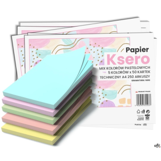 Papier xero A4 mix kolorów 160g (250 arkuszy) 5 kolorów pastelowych