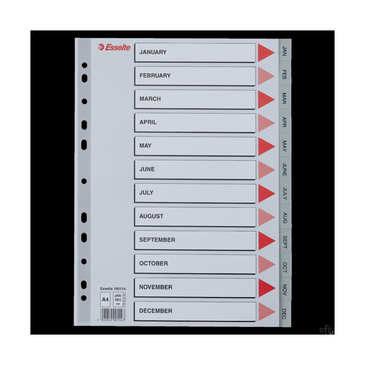 Przekładki plastikowe szare PP A4 12 miesięcy 100114 numeryczne ESSELTE