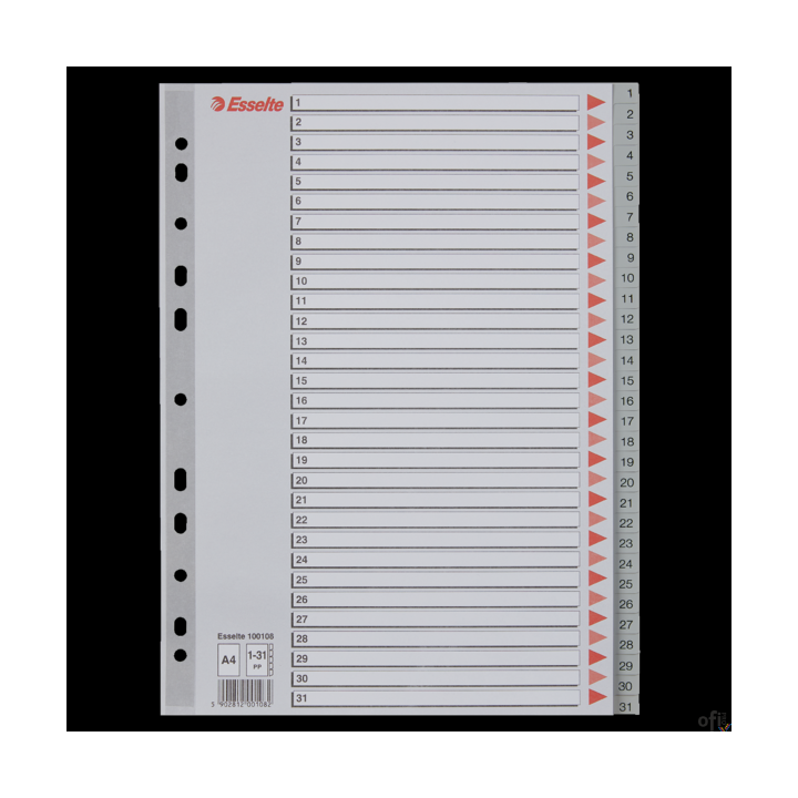 Przekładki plastikowe szare PP A4 1-31 100108 numeryczne ESSELTE